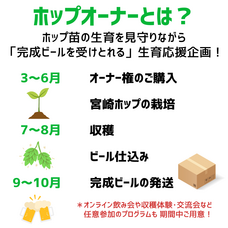 宮崎ひでじビール株式会社のプレスリリース画像1