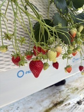 株式会社USTRUSTのプレスリリース画像1