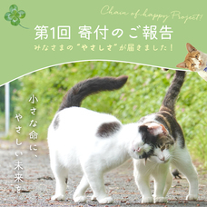 株式会社GreenOceanのプレスリリース画像3