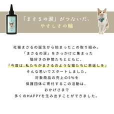 株式会社GreenOceanのプレスリリース画像5