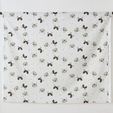 株式会社コッカのプレスリリース画像2