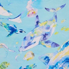 株式会社コッカのプレスリリース画像4