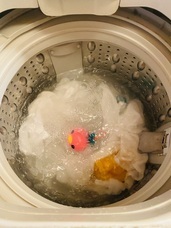 恵川商事株式会社のプレスリリース画像4