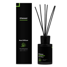 EFlement Japanのプレスリリース画像2