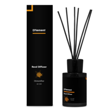 EFlement Japanのプレスリリース画像1