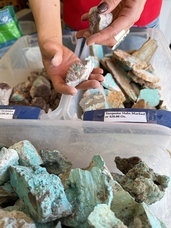 sycamoreのプレスリリース画像2