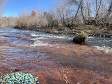 sycamoreのプレスリリース画像5