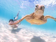 LIFE YORONのプレスリリース画像3