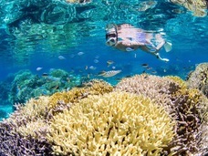 LIFE YORONのプレスリリース画像4