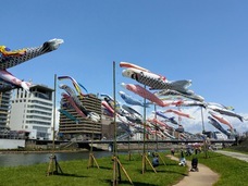 株式会社オフィスグルーのプレスリリース画像3