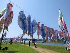 株式会社オフィスグルーのプレスリリース画像2