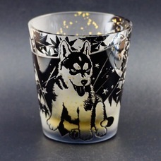 可夜硝子のプレスリリース画像5