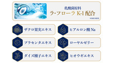 株式会社エンジョイトイズのプレスリリース画像3