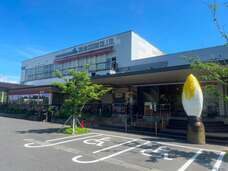 株式会社サラダコスモのプレスリリース画像3