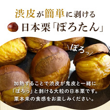 株式会社サラダコスモのプレスリリース画像5
