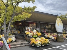 株式会社サラダコスモのプレスリリース画像2