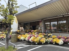 株式会社サラダコスモのプレスリリース画像3