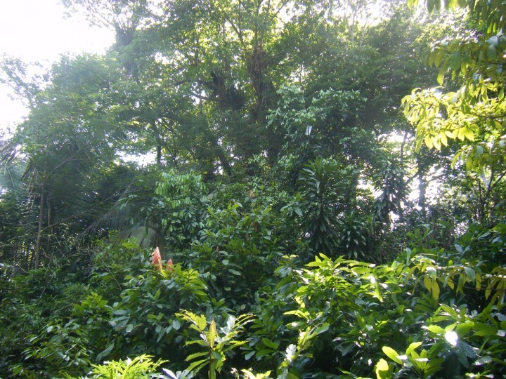 株式会社アスラポート・ダイニングのプレスリリース画像3