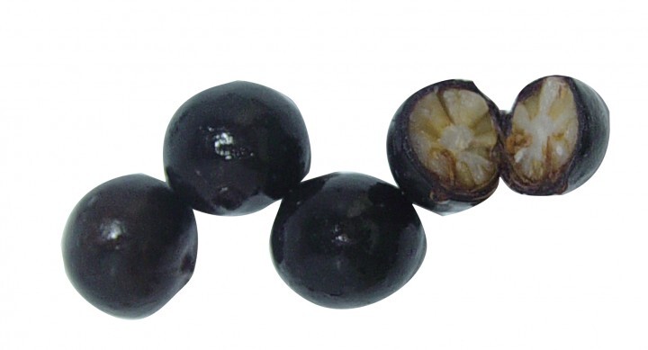 株式会社アスラポート・ダイニングのプレスリリース画像1