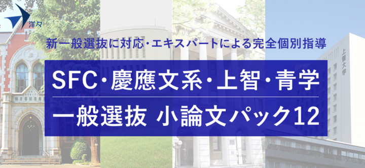 小論文対策の個別指導塾 洋々 慶應 上智 青学 一般選抜の小論文 論述対策に特化した講座 小論文パック12 を新規開講 株式会社洋々のプレスリリース