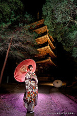 東京カメラ部株式会社のプレスリリース画像1