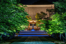 東京カメラ部株式会社のプレスリリース画像2