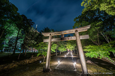 東京カメラ部株式会社のプレスリリース画像3