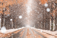 東京カメラ部株式会社のプレスリリース画像8