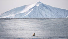 東京カメラ部株式会社のプレスリリース画像1