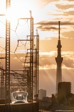 東京カメラ部株式会社のプレスリリース画像3