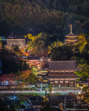 東京カメラ部株式会社のプレスリリース画像6