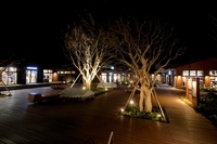 株式会社ビクセンのプレスリリース画像1