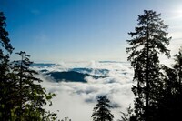 株式会社ビクセンのプレスリリース画像1