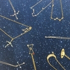 株式会社ビクセンのプレスリリース画像1