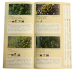 株式会社ビクセンのプレスリリース画像7