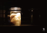 株式会社タッドファーのプレスリリース画像5