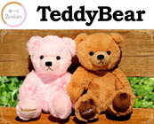 株式会社シアーズのプレスリリース画像3