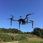 株式会社チックのプレスリリース画像4