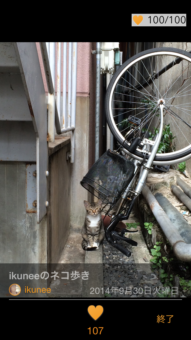 株式会社フィードテイラーのプレスリリース画像2