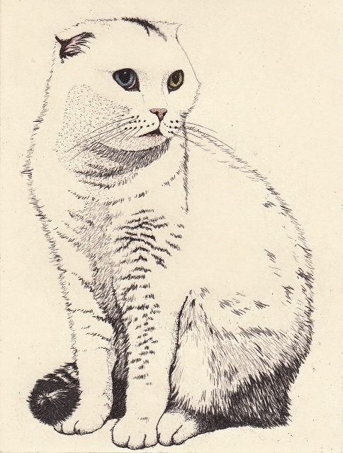 株式会社ボングゥーのプレスリリース