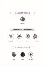 株式会社天才工場のプレスリリース画像5