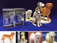 株式会社　クロスワンのプレスリリース画像1