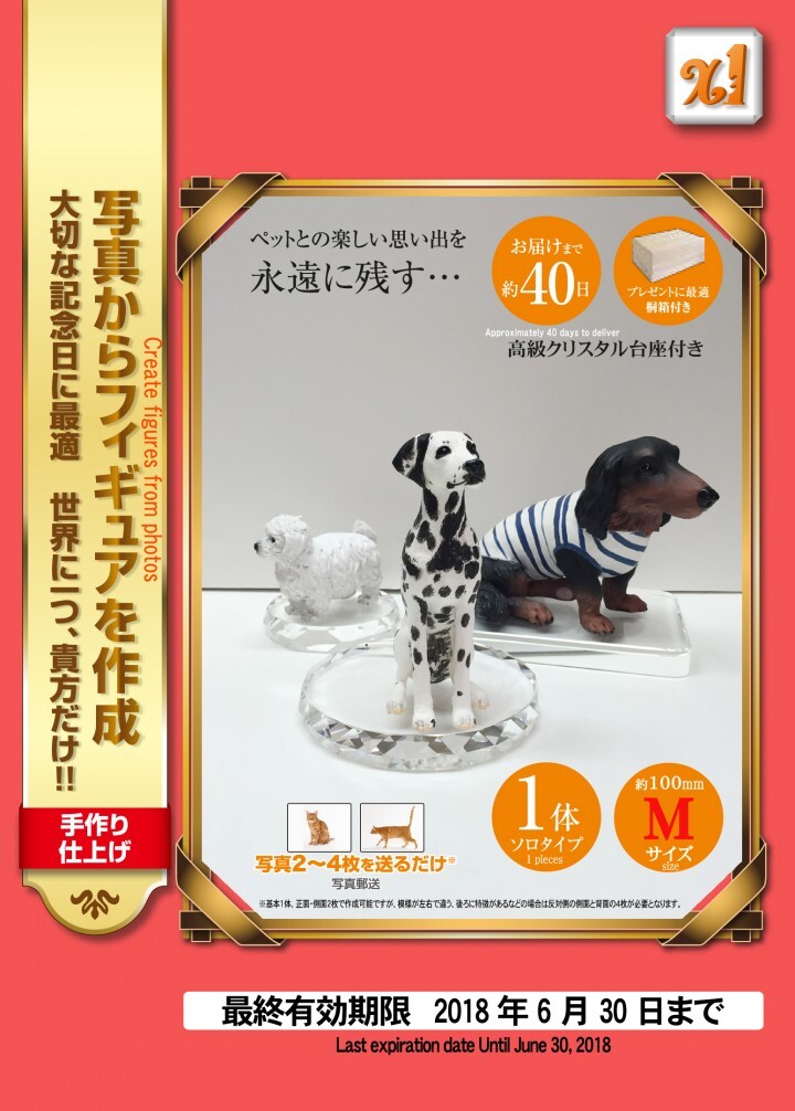 株式会社　クロスワンのプレスリリース画像6