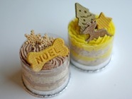 オフィス・コロラドのプレスリリース