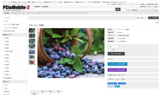 ＷＥＢインベンターのプレスリリース