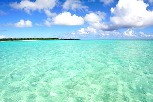 株式会社オープンドアのプレスリリース画像1