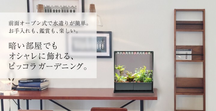 株式会社 エスキュービズムのプレスリリース画像1