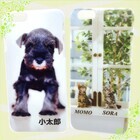 OTAS株式会社のプレスリリース画像2