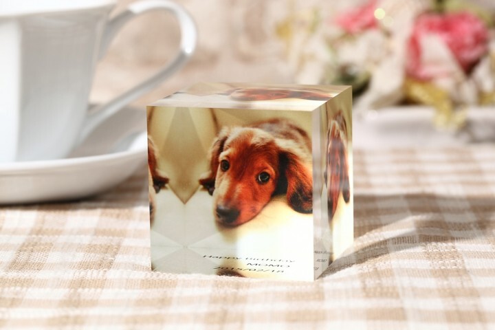 OTAS株式会社のプレスリリース画像1