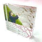 OTAS株式会社のプレスリリース画像6